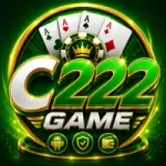 C222 GAME