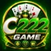 C222 GAME
